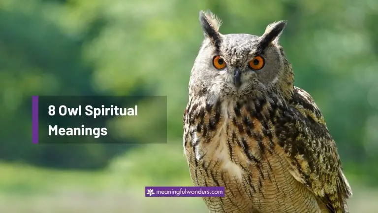 Owl Spiritual Meaning: 8 Deep Ancient Meanings