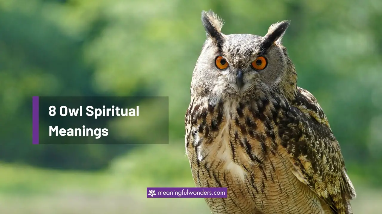 Owl Spiritual Meaning 8 Deep Ancient Meanings Meaningful Wonders