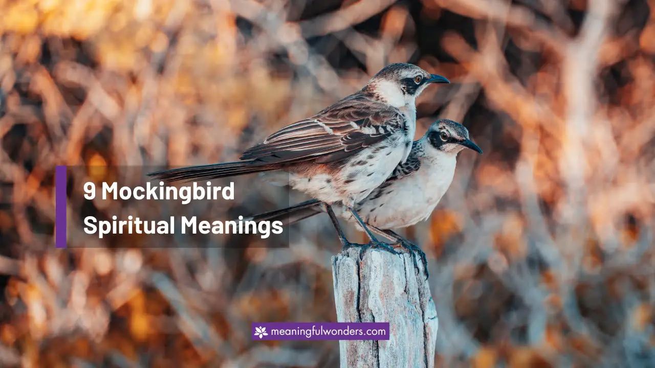 Mockingbird Spiritual Meaning