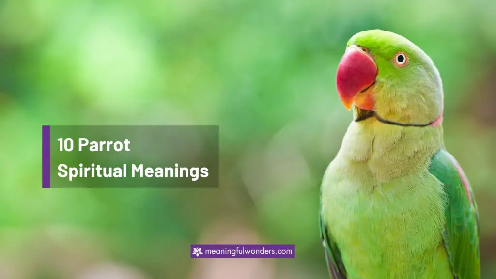 Parrot Spiritual Meaning: 10 Important Life Lessons Explained