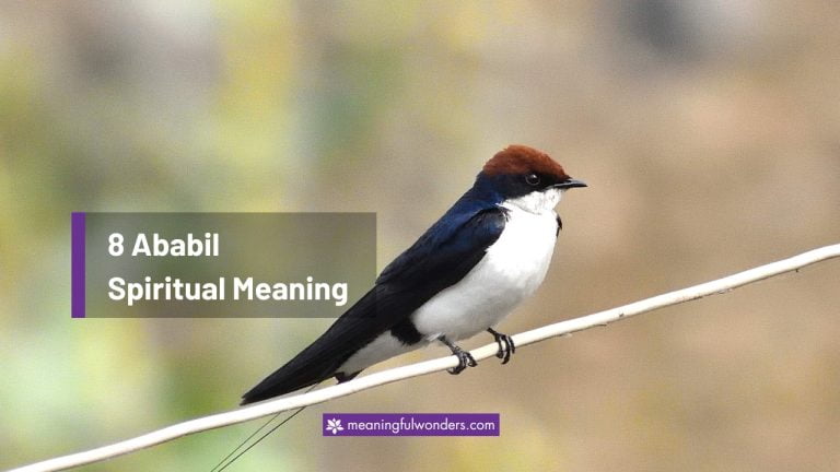 Ababil Spiritual Meaning: 8 Sacred Messages This Bird Hold