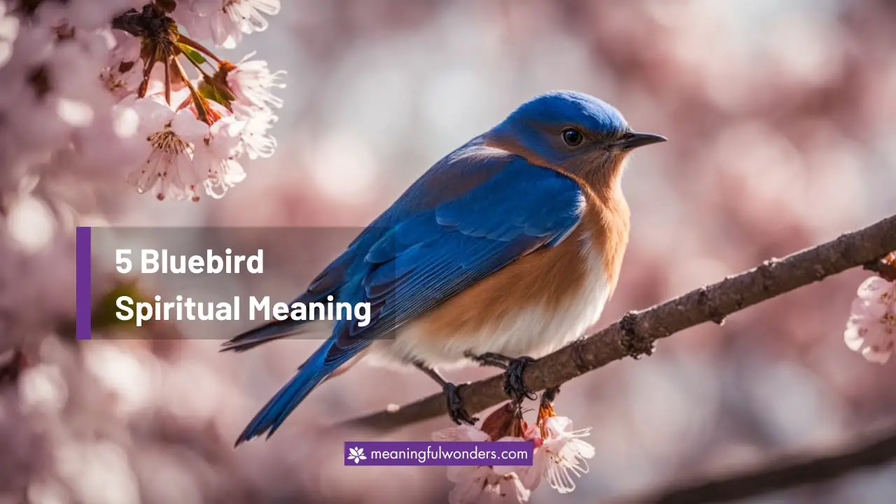 Bluebird Spiritual Meaning