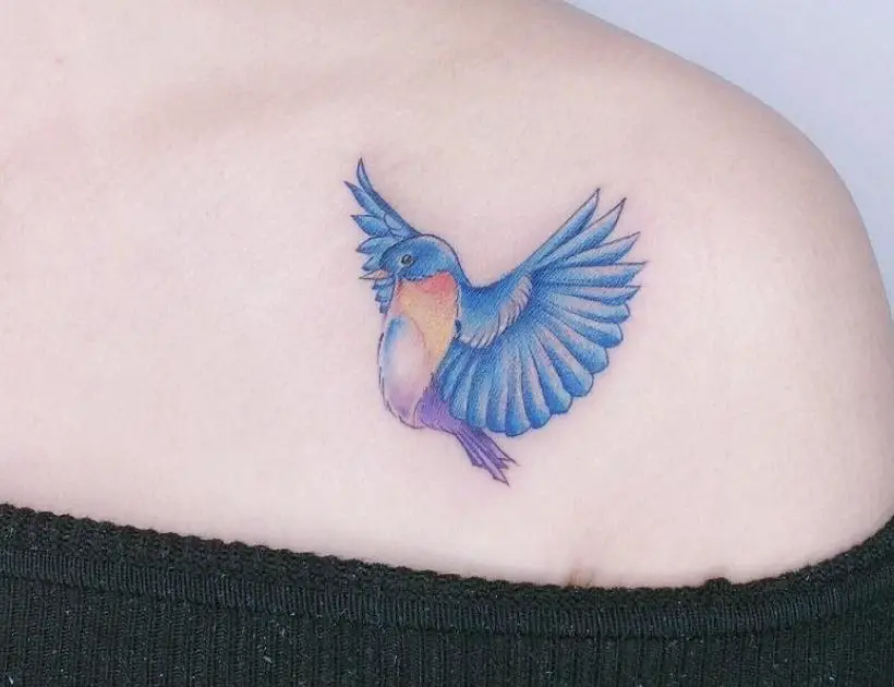 Bluebird Tattoo Symbolism