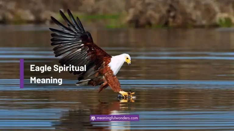 8 Eagle Spiritual Meaning: Right Source of Great Spirit & Power