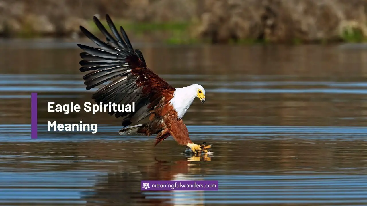 Eagle Spiritual Meaning