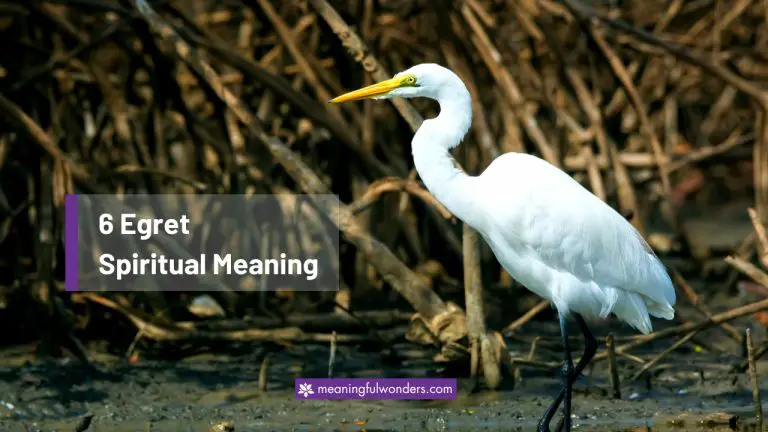 Egret Spiritual Meaning: Grace, Purity, and Renewal