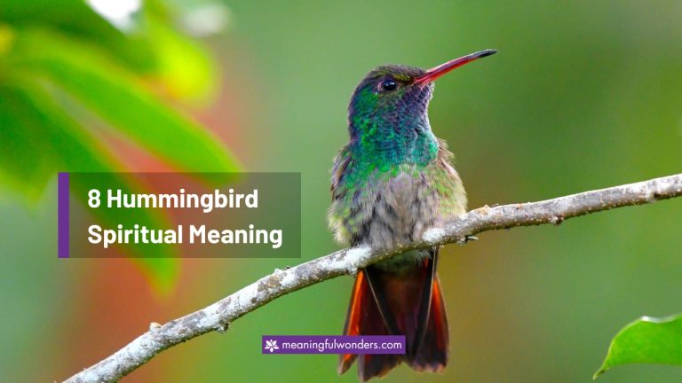 Hummingbird Spiritual Meaning: 8 Optimistic Messages to Explore
