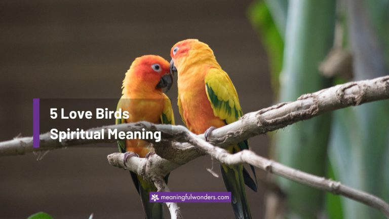 5 Love Birds Spiritual Meaning | (Sign of Love & Hope)