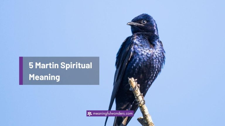 Martin Spiritual Meaning: 5 Rich & Hidden Meanings to Know