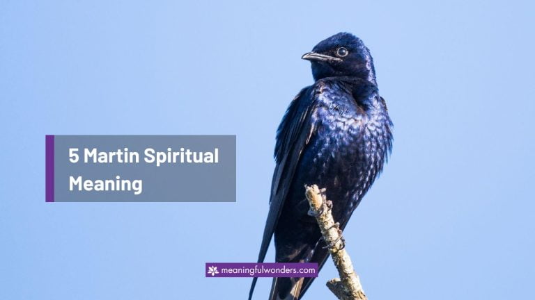 Martin Spiritual Meaning