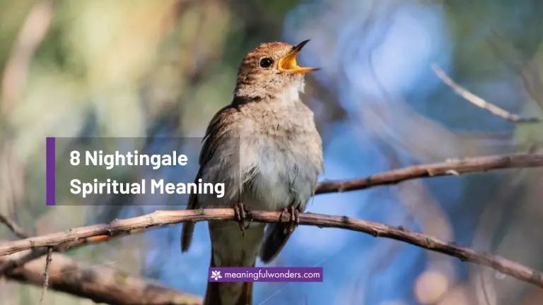 8 Nightingale Spiritual Meaning | (Love, Loyalty & Peace)