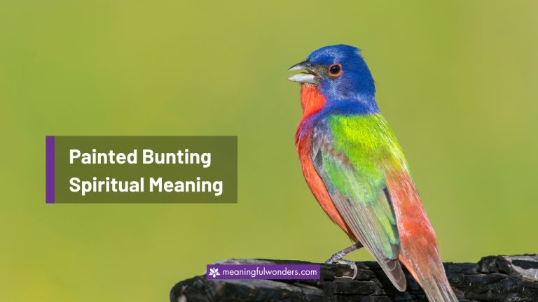 Painted Bunting Spiritual Meaning: 8 Thoughts for Colorful Life