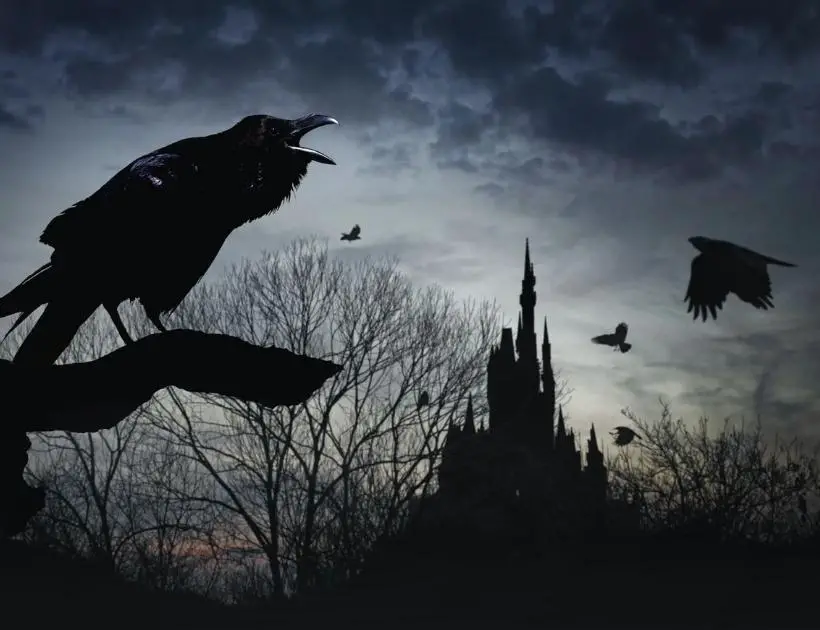 Raven in European Folklore