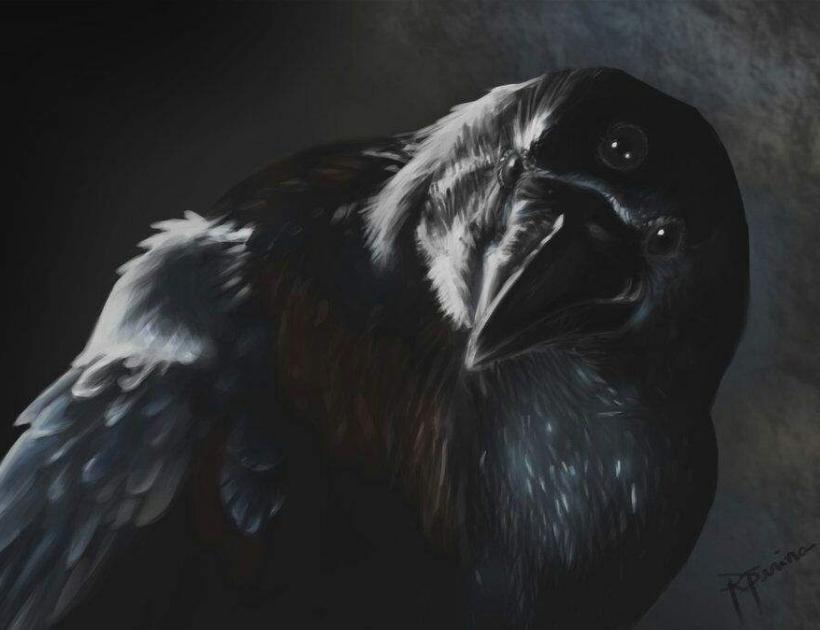 The Three-eyed Raven