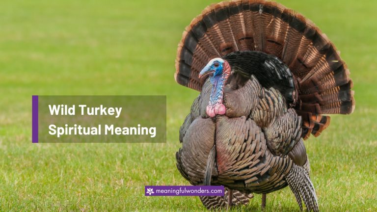 Wild Turkey Spiritual Meaning | 8 Powerful Symbols to Know