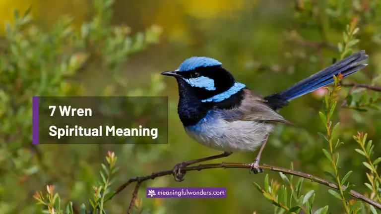 Wren Spiritual Meaning: (7 Powerful Messages This Bird Carry)