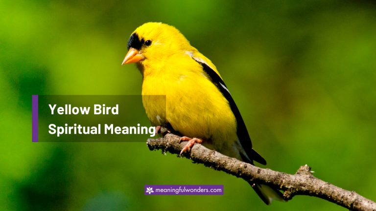 Yellow Bird Spiritual Meaning: 7 Powerful Messages