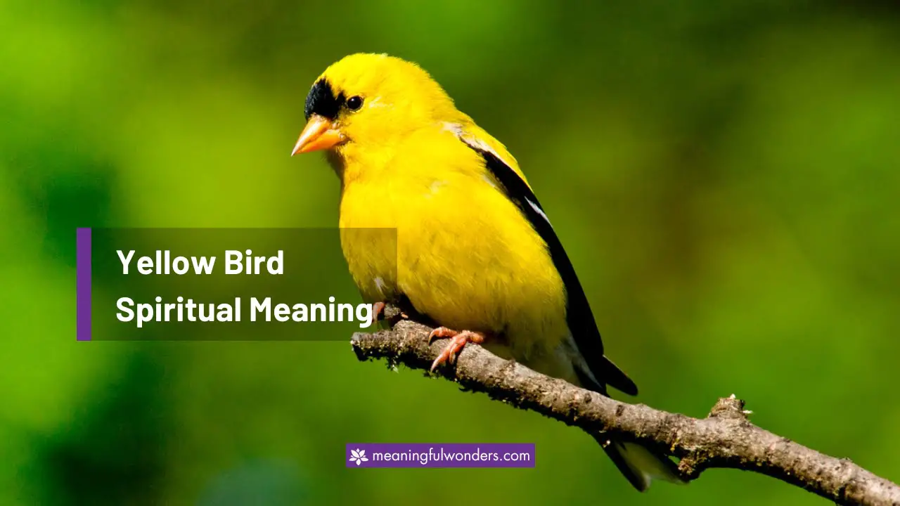 Yellow Bird Spiritual Meaning