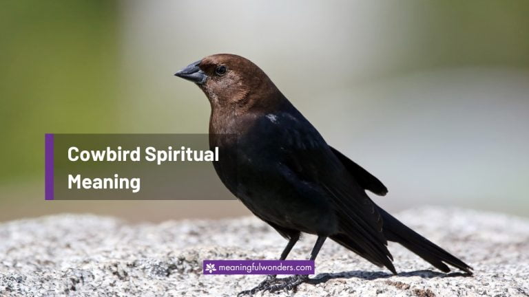 Cowbird Spiritual Meaning: Hope for New Beginnings