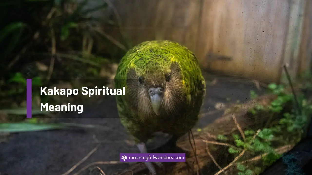 Kakapo Spiritual Meaning