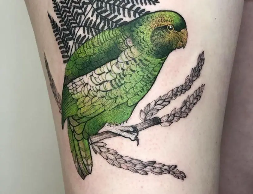 Kakapo Tattoo Meaning