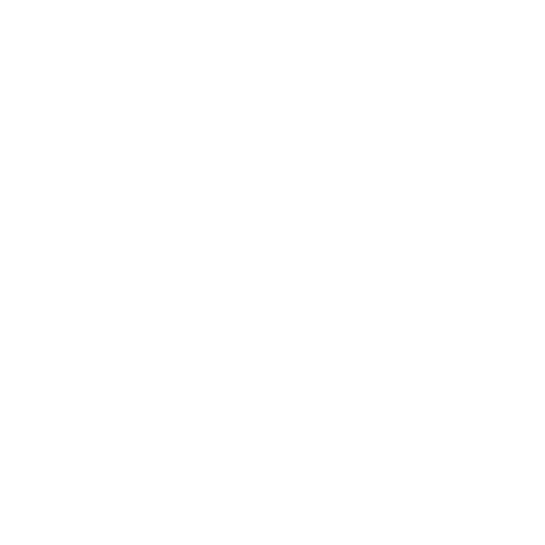 Meaningful-Wonders-Footer-Logo