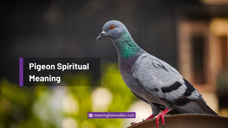 Pigeon Spiritual Meaning: Symbol of Peace and Hope