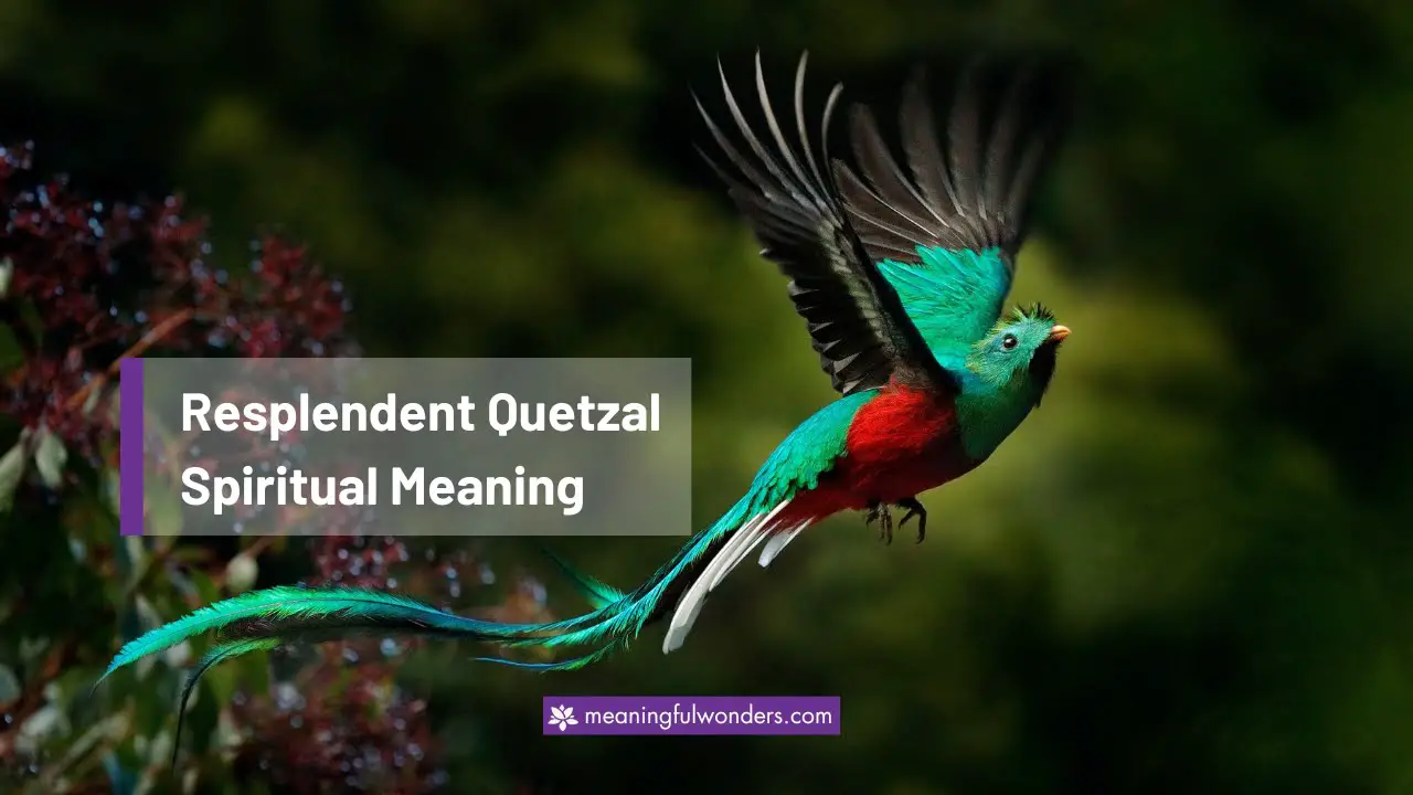 Resplendent Quetzal Spiritual Meaning