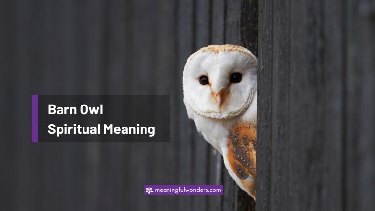 Barn Owl Spiritual Meaning: Power of Staying Quiet