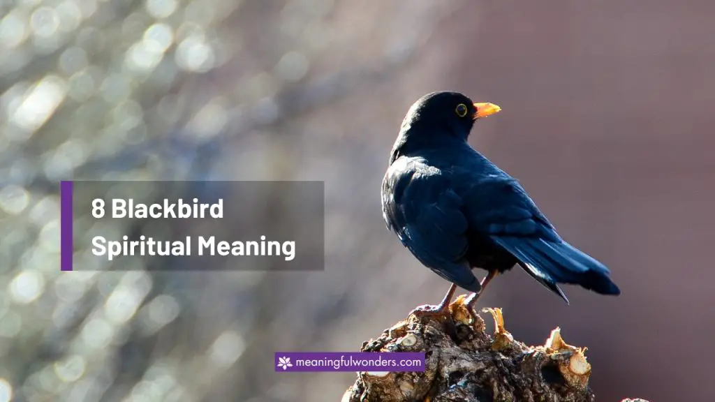 8 Blackbird Spiritual Meaning: Symbol of Change & Rebirth