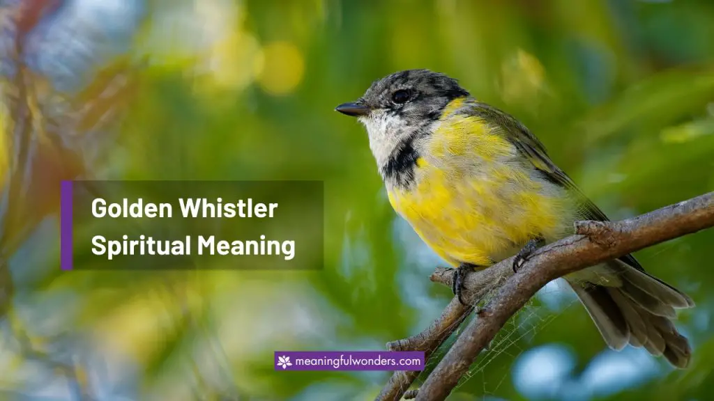 Golden Whistler Spiritual Meaning: Trust in Your Creativity