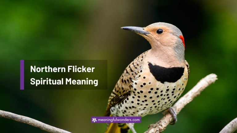 Northern Flicker Spiritual Meaning: Journey of Growth
