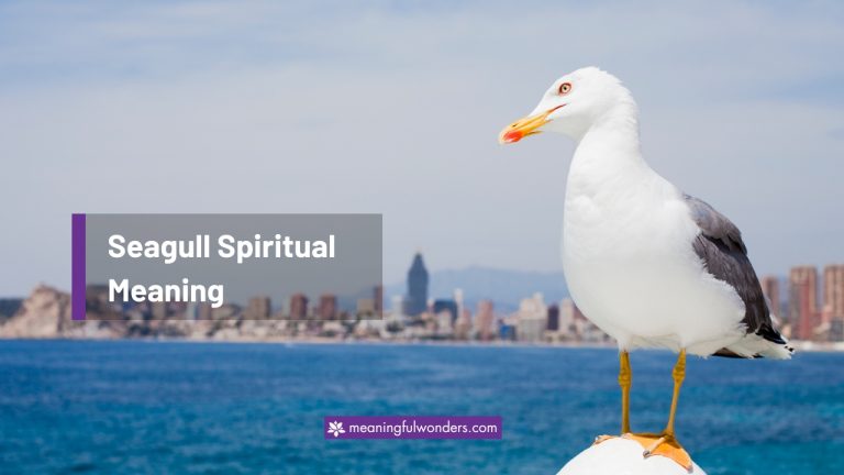 Seagull Spiritual Meaning: Explore and Live Life in Freedom