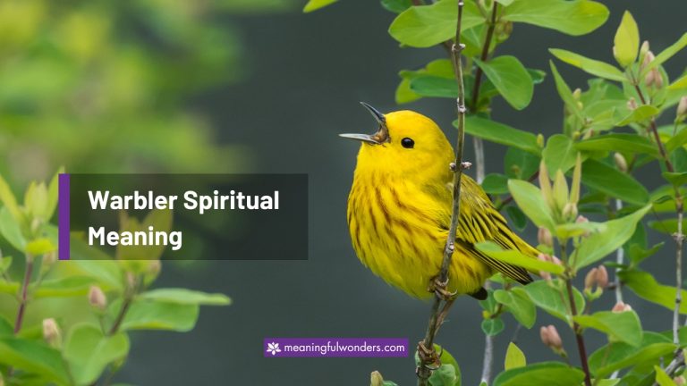 Warbler Spiritual Meaning (Symbol of Hope, Joy, and Good Fortune)