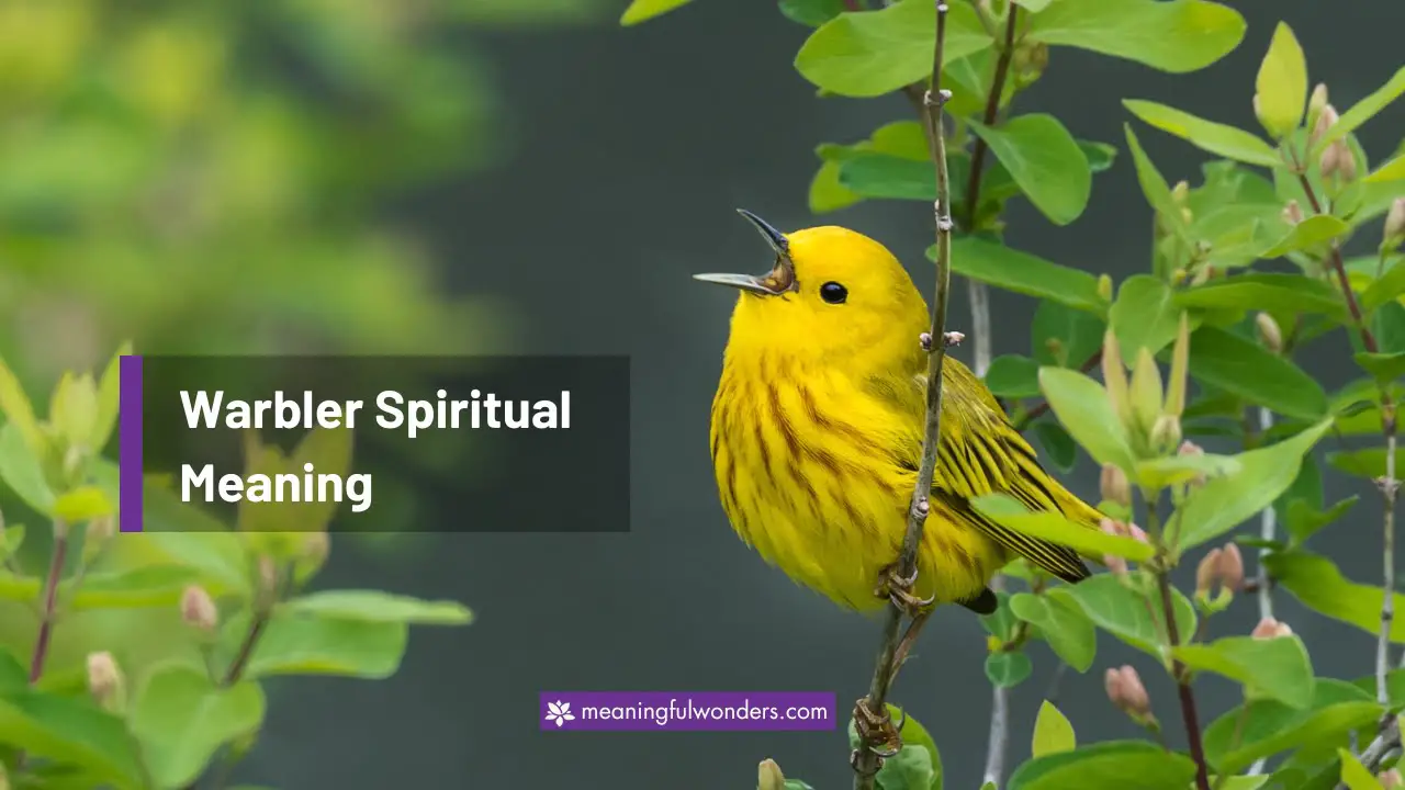 Warbler Spiritual Meaning