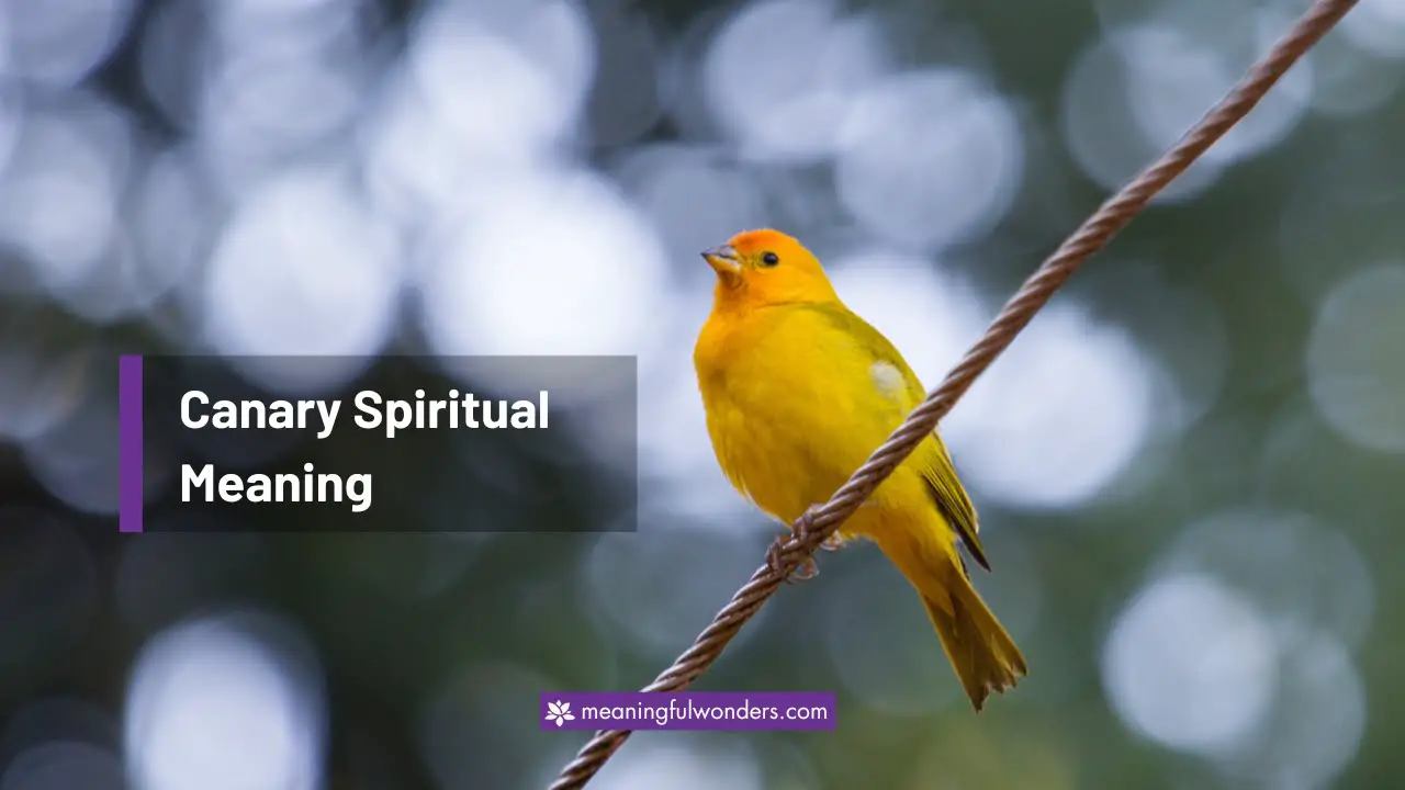 Canary Spiritual Meaning: Messengers of Hope and Positivity