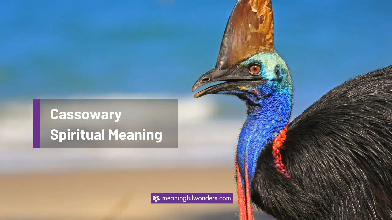 Cassowary Spiritual Meaning