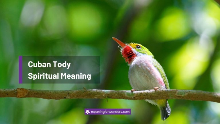 Cuban Tody Spiritual Meaning: Embrace the Beauty of Now
