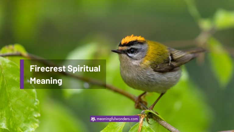Firecrest Spiritual Meaning: Represents Hope and Optimism