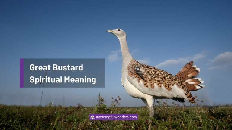 Great Bustard Spiritual Meaning: Symbol of Divine Grace