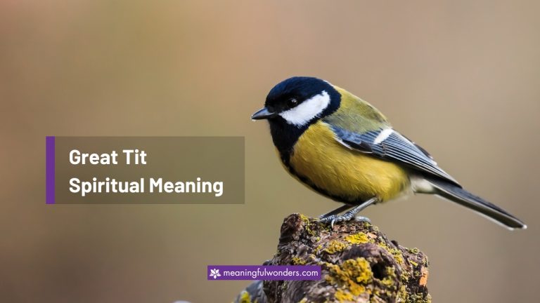 Great Tit Spiritual Meaning: Learn to Adapt to Thrive