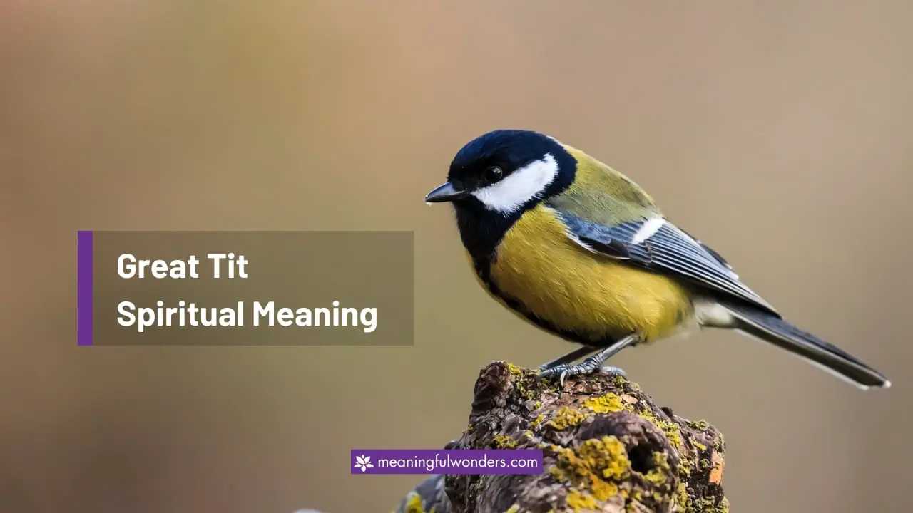Great Tit Spiritual Meaning