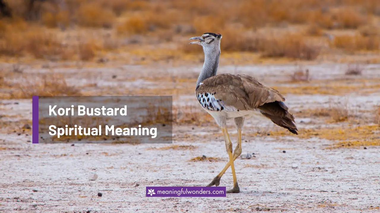 Kori Bustard Spiritual Meaning