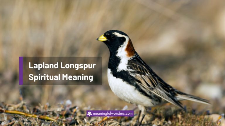 Lapland Longspur Spiritual Meaning