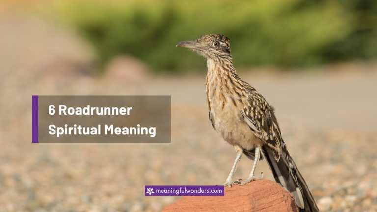Roadrunner Spiritual Meaning: Symbol of Courage and Strength