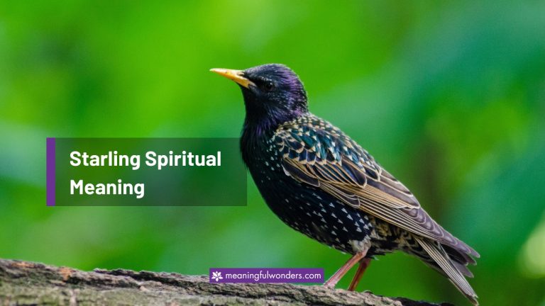 Starling Spiritual Meaning: Symbol of Peace and Simplicity