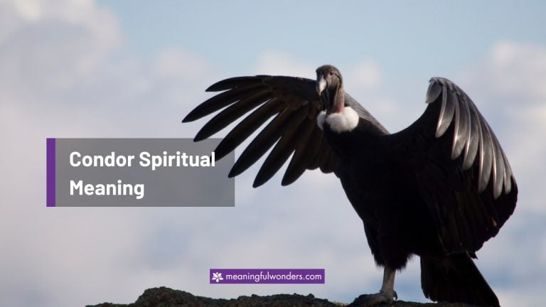 Condor Spiritual Meaning: Break Free From Your Limitations