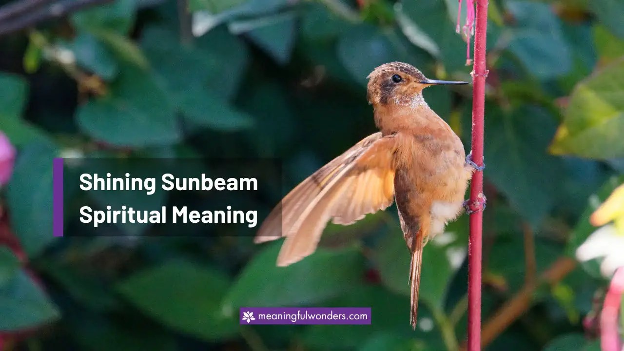 Shining Sunbeam Spiritual Meaning