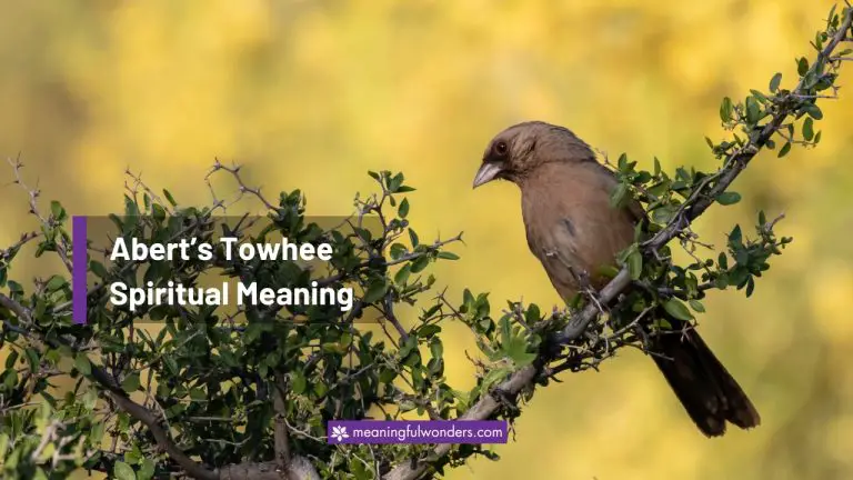 6 Abert’s Towhee Spiritual Meaning: Symbol of Resilience