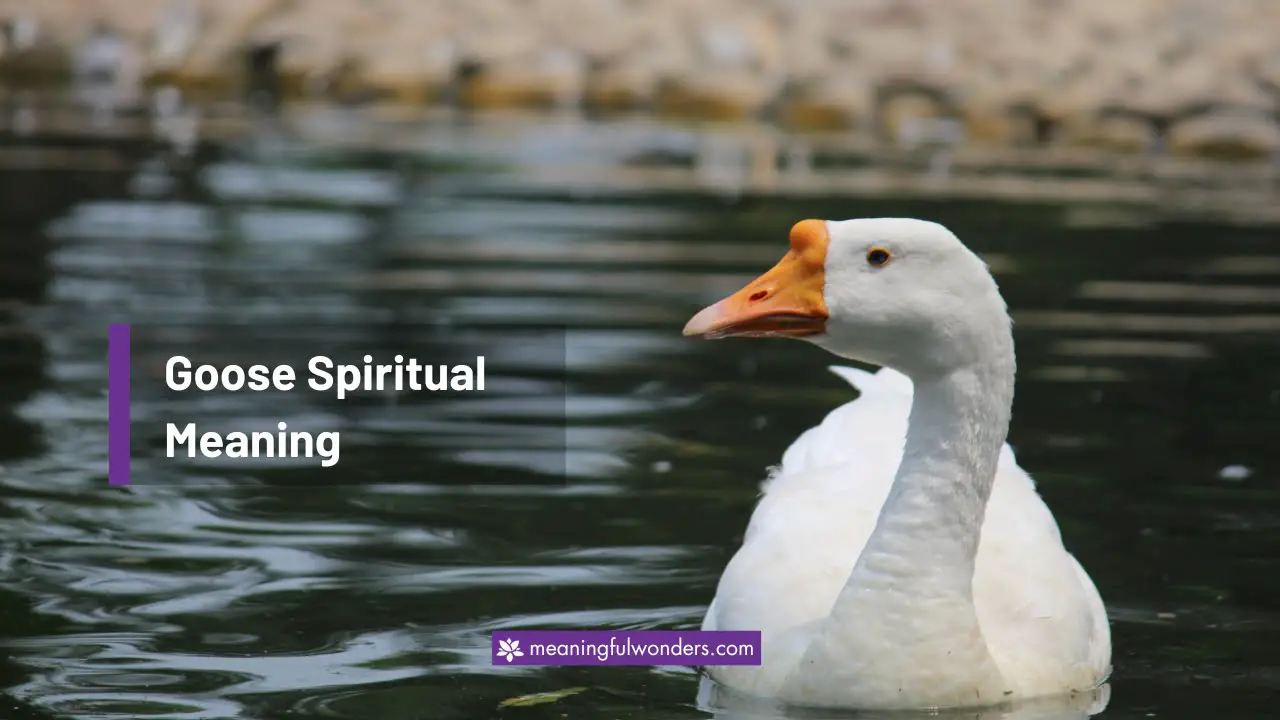 Goose Spiritual Meaning